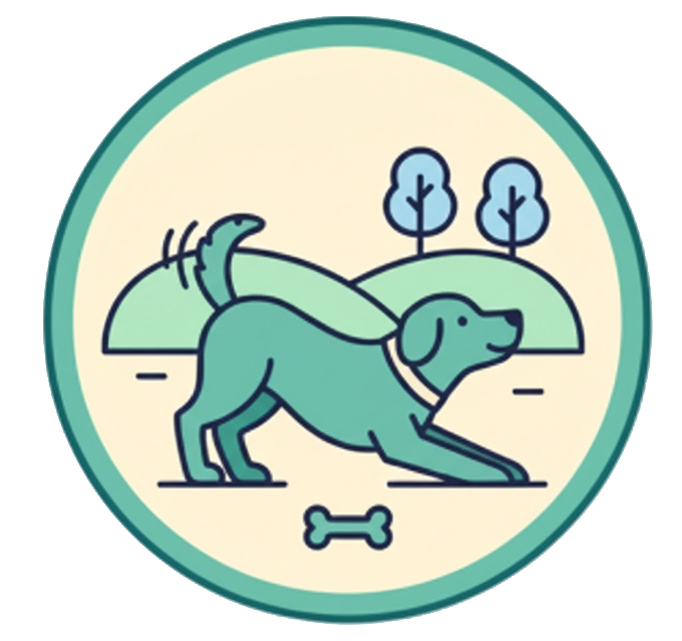 personalized dog care gallery at Zoomies.