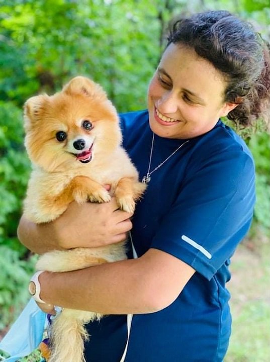 Personalized dog care photos - happy Pomeranian